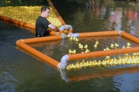 Entenrennen_12