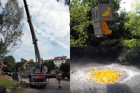 Entenrennen_13