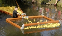 Entenrennen_10